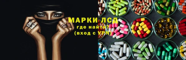прущие грибы Протвино