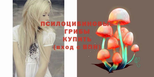 прущие грибы Протвино
