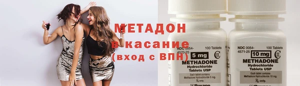 прущие грибы Протвино