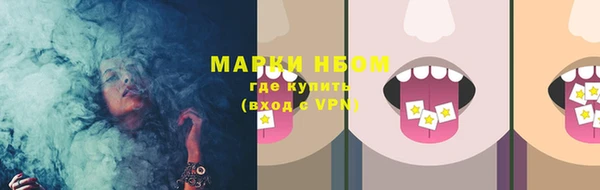 прущие грибы Протвино