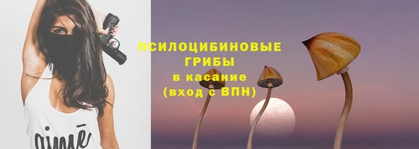прущие грибы Протвино