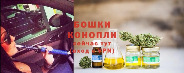 прущие грибы Протвино