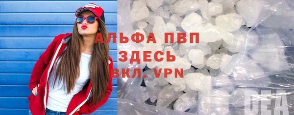 прущие грибы Протвино